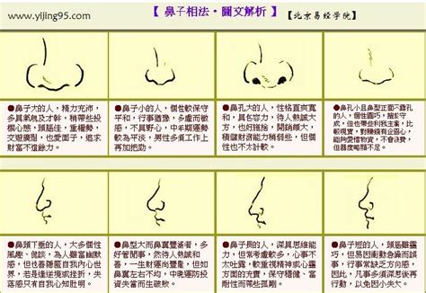 鼻子受傷面相|面相五官看健康——鼻子